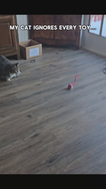 Interactive Cat Ball