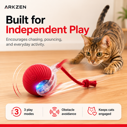 Interactive Cat Ball