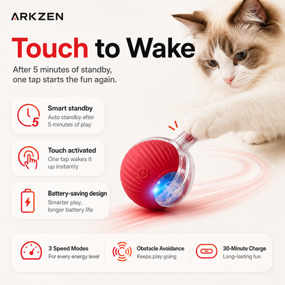 Interactive Cat Ball